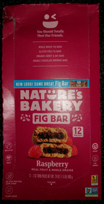 Raspberry Fig Bars