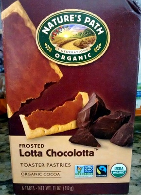 Frosted Lotta Chocolotta Toaster Pastries