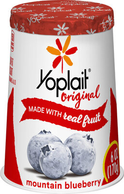 Low Fat Yogurt with Blueberry