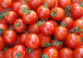 Tomato