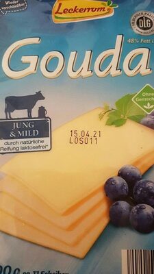 Gouda Käse