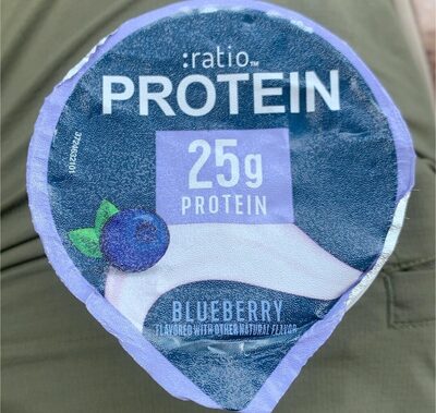 Blueberry Dairy Snack