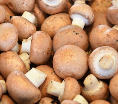Mushroom, White Fresh