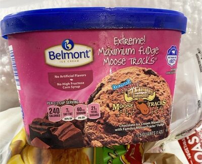 Extreme Maximum Gudge Moose Tracks Ice Cream