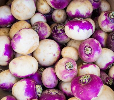 Turnip Root - Fresh
