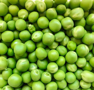 Green peas - Fresh