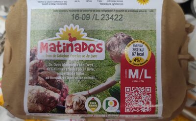 Ovos Frescos de Galinhas Criadas ao Ar Livre