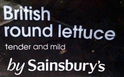 british round lettuce
